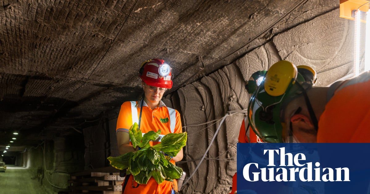 Subterranean salad: underground farmers seek solution to food crisis in disused UK mines