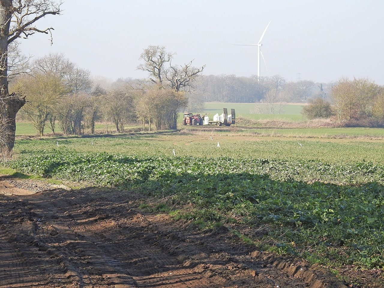 Mexico Fertilizer Tariffs Hit Chinese Ammonium Sulfate at US$149 a Tonne
