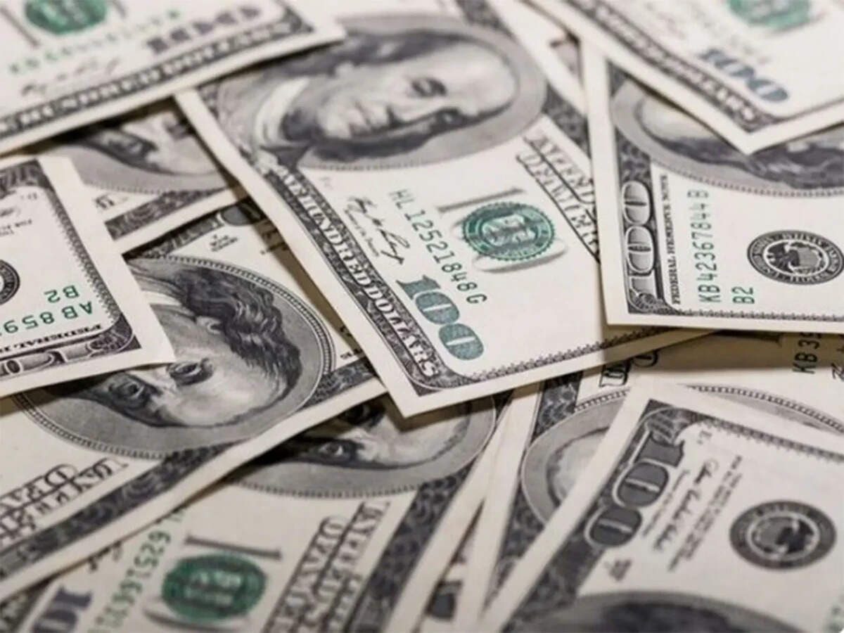 India raises $73 bn in forex inflows at record pace