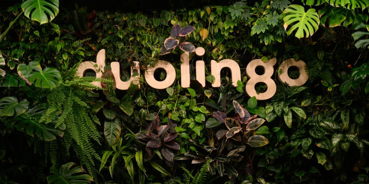 Duolingo Nears a ‘Turning Point’ and It’s Why This Analyst Upgraded the Stock to Buy