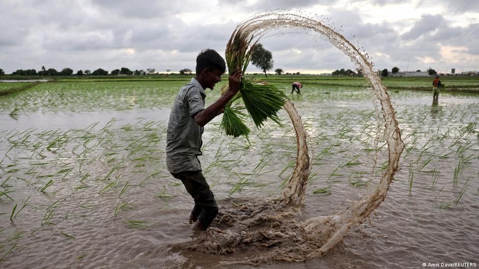 Could El Nino, two wars and soaring energy prices trigger a global hunger crisis?