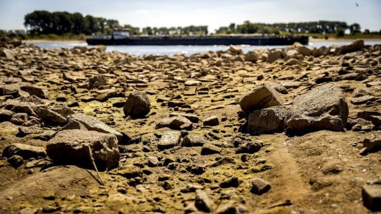 Rhine Low Water Levels Expose Fragility in European Industrial Supply Chains