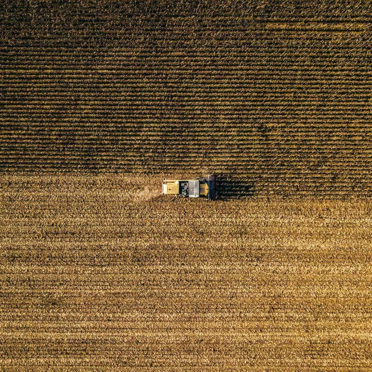 Wheat Rallying on Black Sea Strikes
