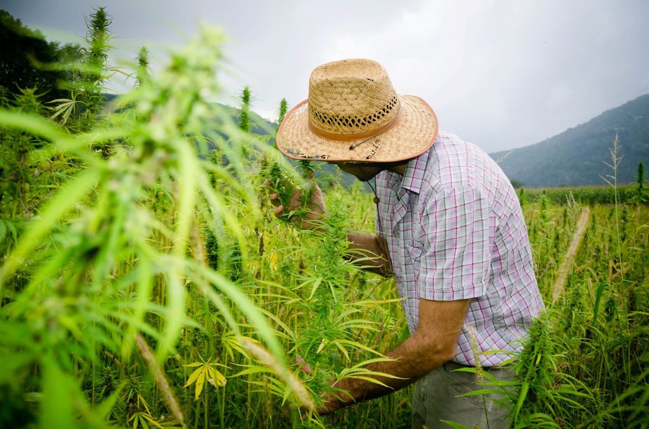 Tilray Brands Posted Record Numbers for Fiscal 2026. Here's Why That's Not Enough to Make the Stock a Buy