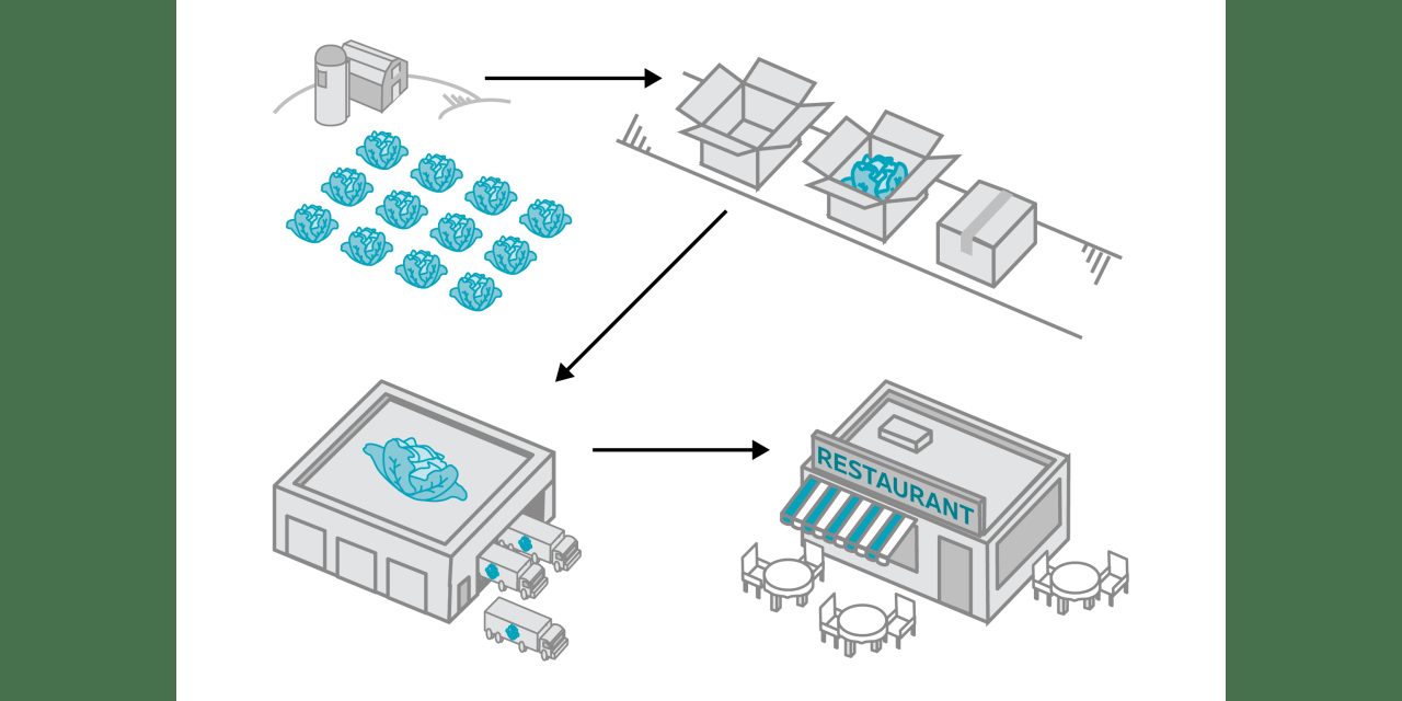 How 10 Billion Pounds of Lettuce Travel From Farms to Dinner Plates