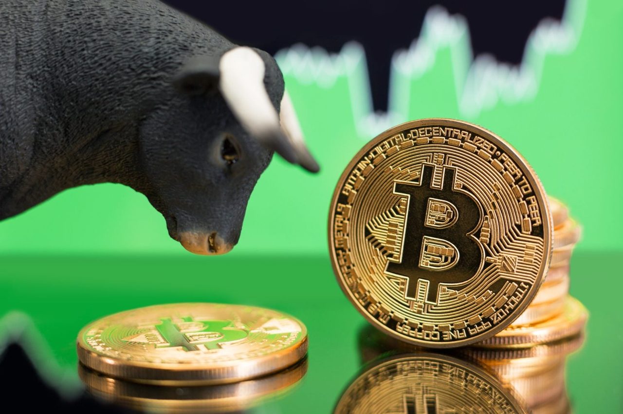 Strive Jumps 5% as CEO Declares the Bitcoin Bear Market Over, Strategy and Bitmine Rise 3%