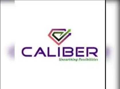 Caliber Mining IPO sees 24x subscription on Day 2