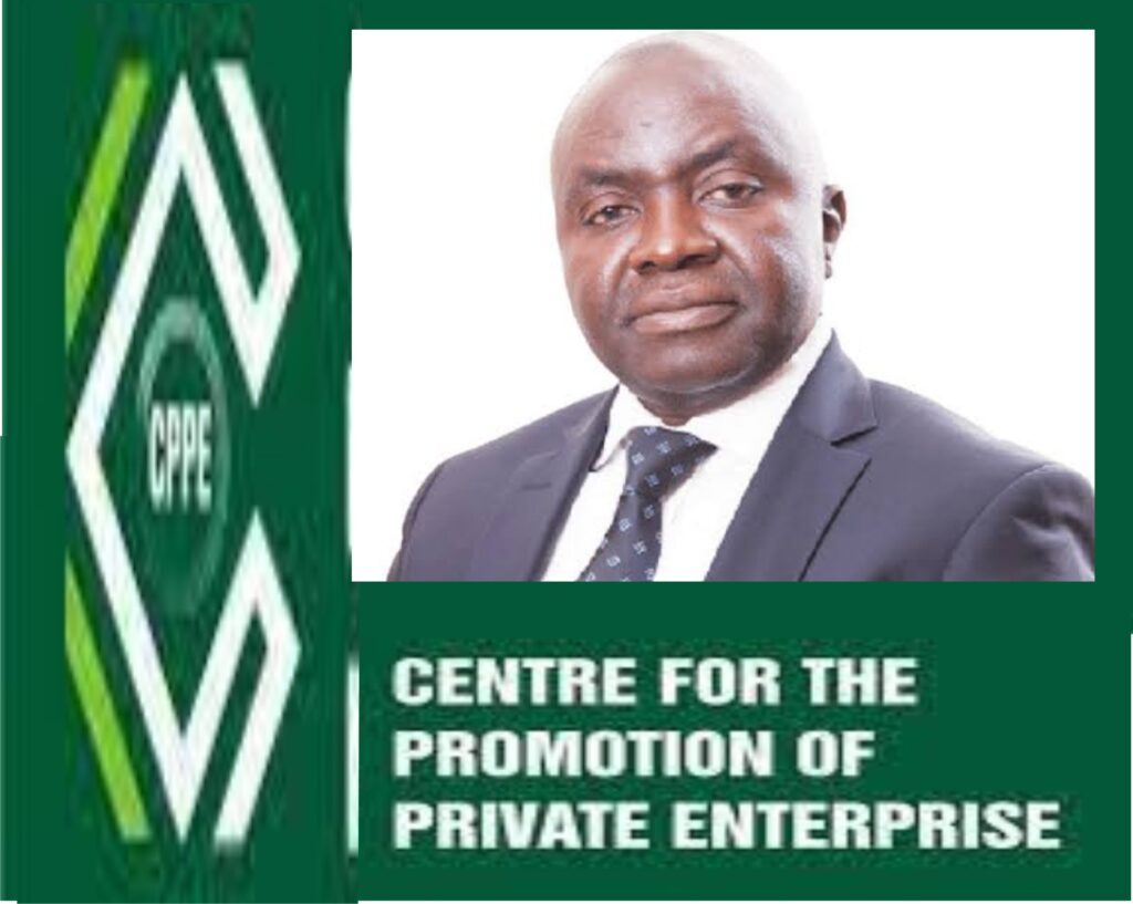 Social protection, structural reforms must go hand in hand for lasting impact – CPPE