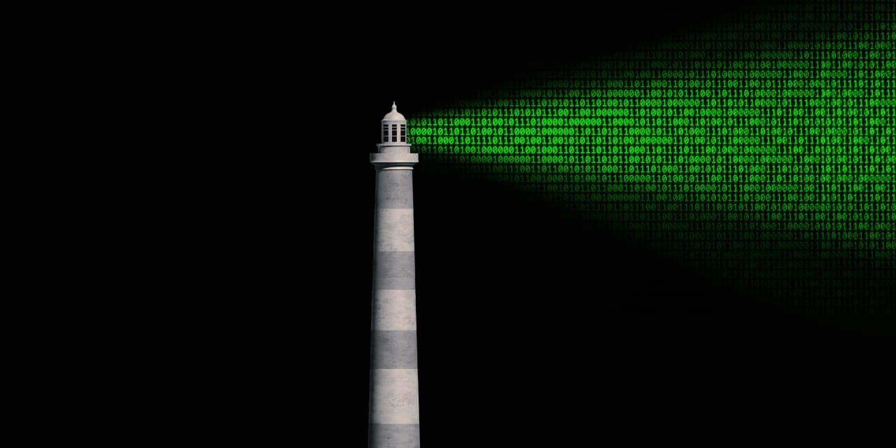 How to Find the Bargains in the Software Stock Wreckage