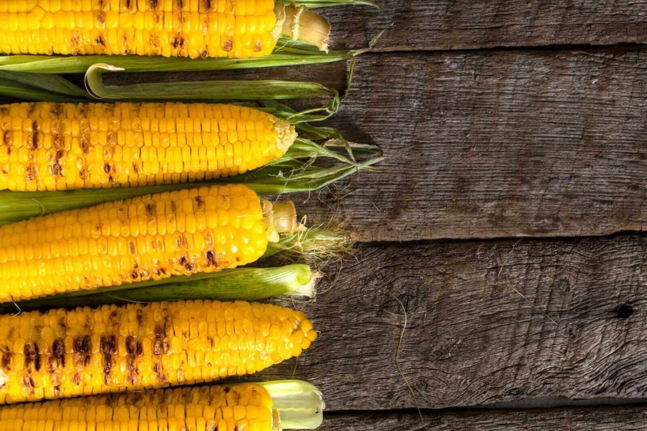 Corn Holding Higher on Monday AM Trade