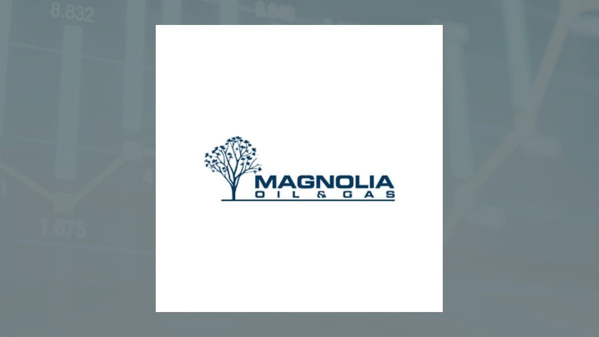 Magnolia Oil & Gas Q2 Earnings Call Highlights