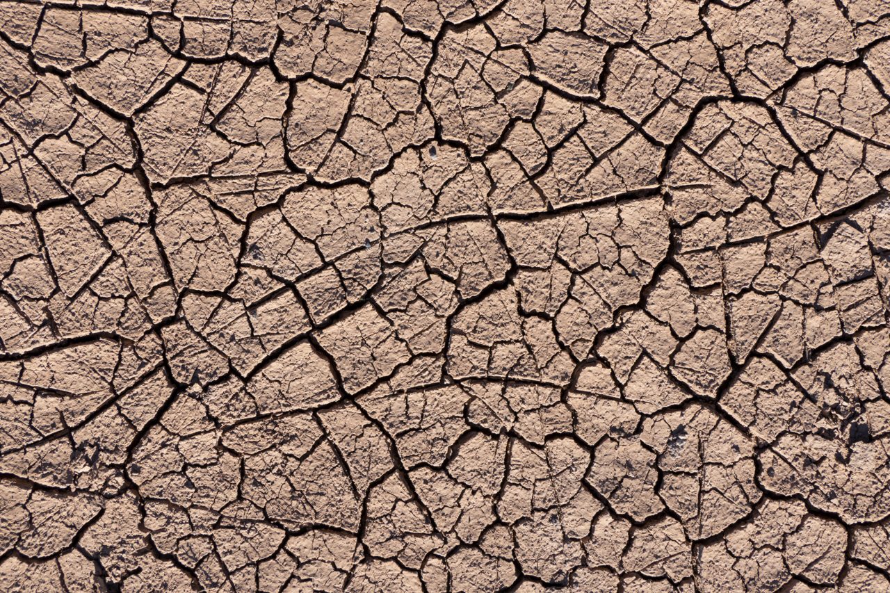 Three Continents, One Harvest: The Soft-Commodity Squeeze Latin America Can’t Ignore