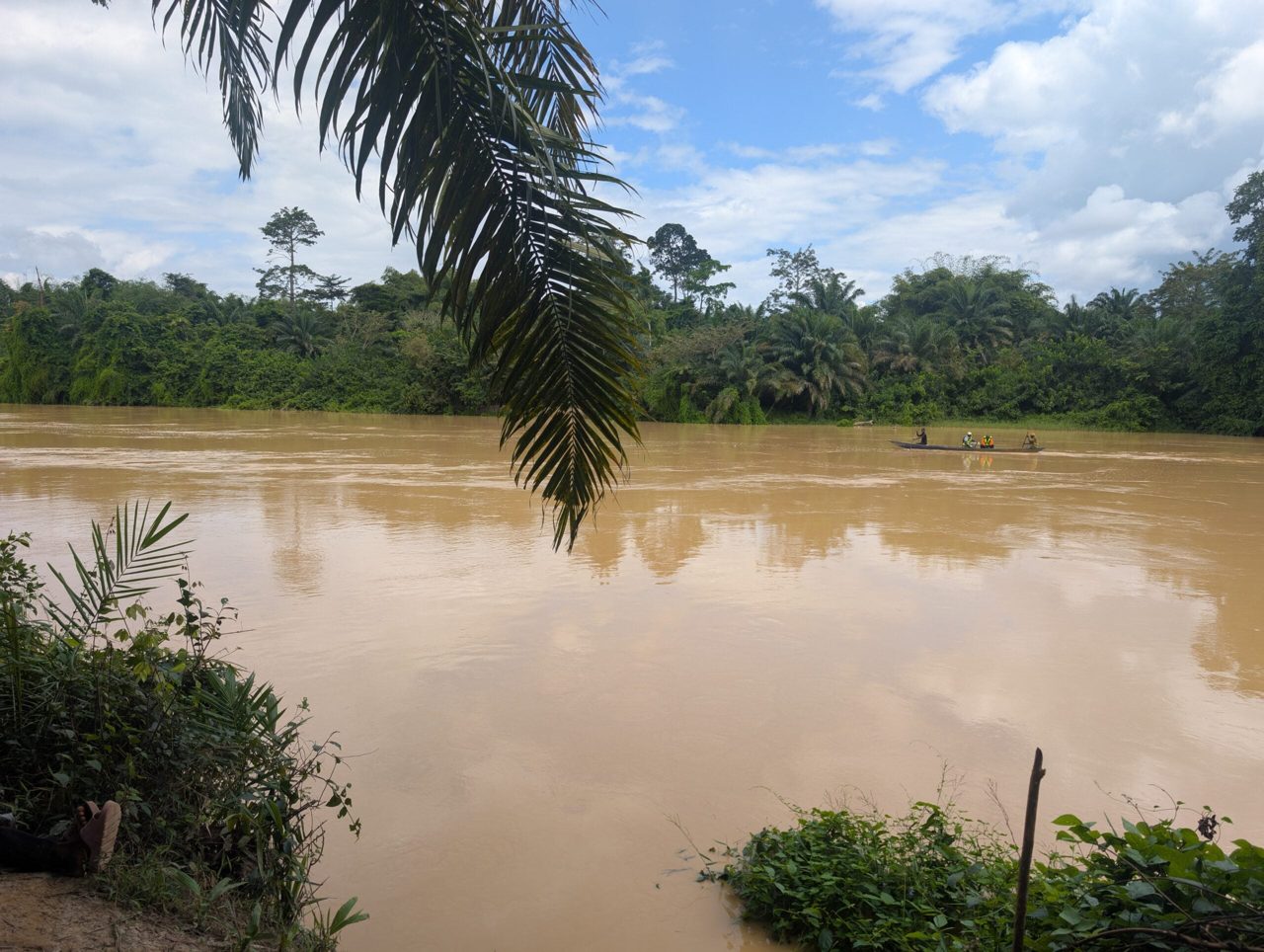Ghana Has Lost 8,900 Hectares of Forest to Illegal Mining