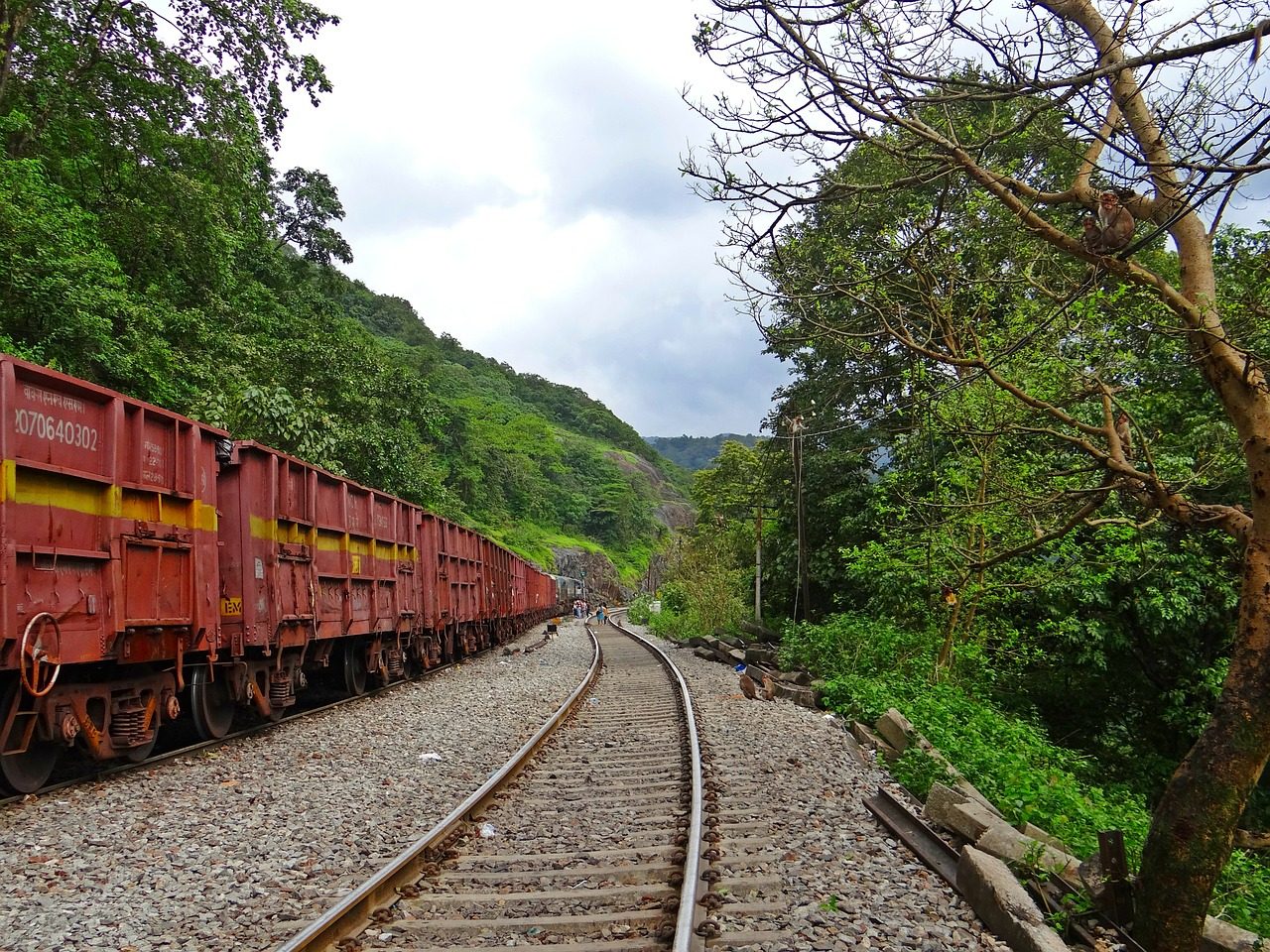 How Greenbrier Companies (GBX) Is Growing Rail Earnings Through Margin Expansion, Record Lease Utilization, and a $2 Billion Backlog