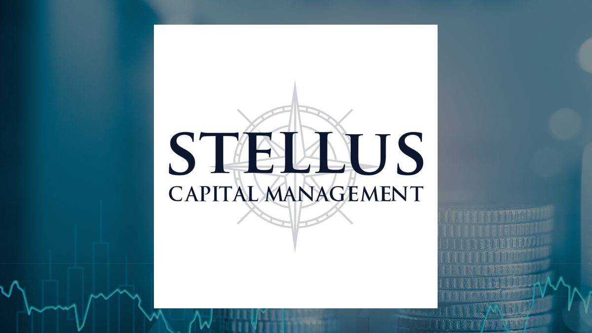 Stellus Capital Investment Q2 Earnings Call Highlights