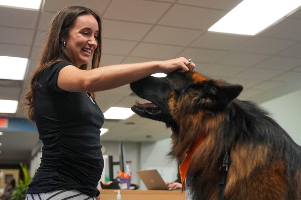 My Dog Needs an $8K ACL Surgery. Should I Drain My Emergency Fund or Take Out a 0% Interest Loan Instead?
