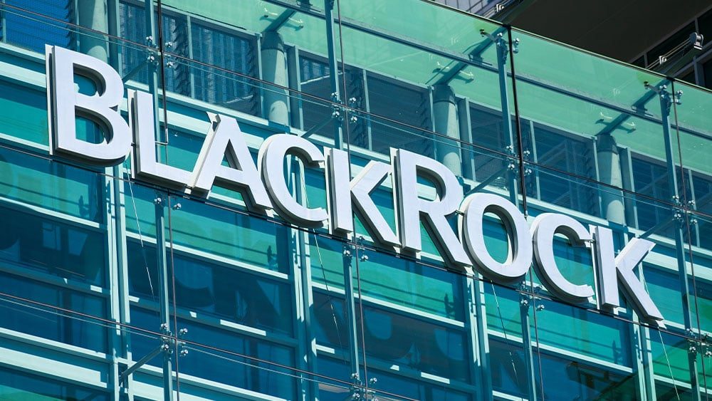 BlackRock's Fink Sees Market Strength, Momentum; Shares Jump