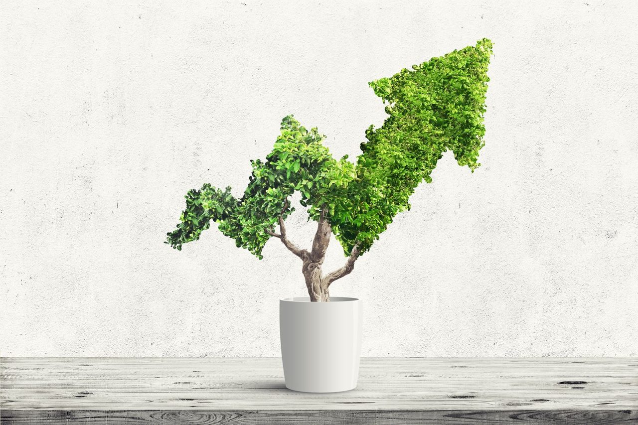 Meet the Magnificent Vanguard ETF Crushing the S&P 500 in 2026, Thanks to Its Unique Momentum-Driven Strategy