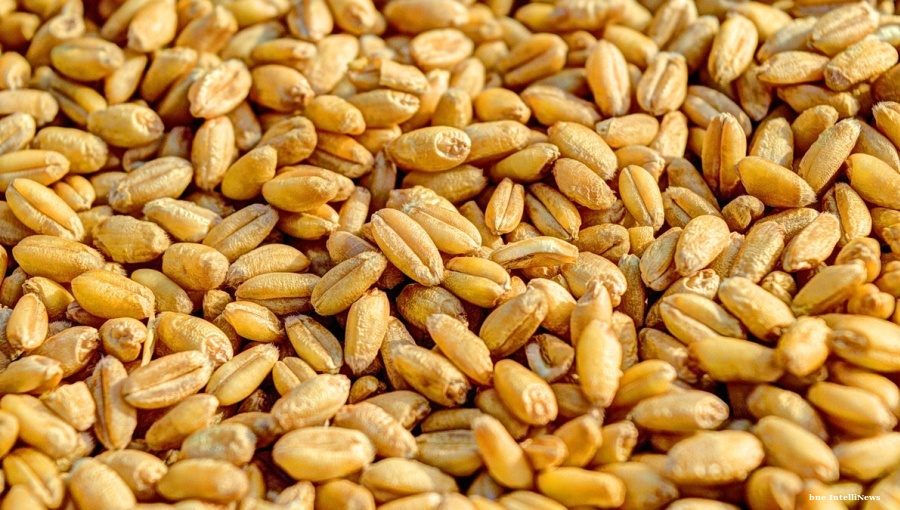 Ukraine faces $3bn grain export loss as Russia's blockade empties Odesa of ships