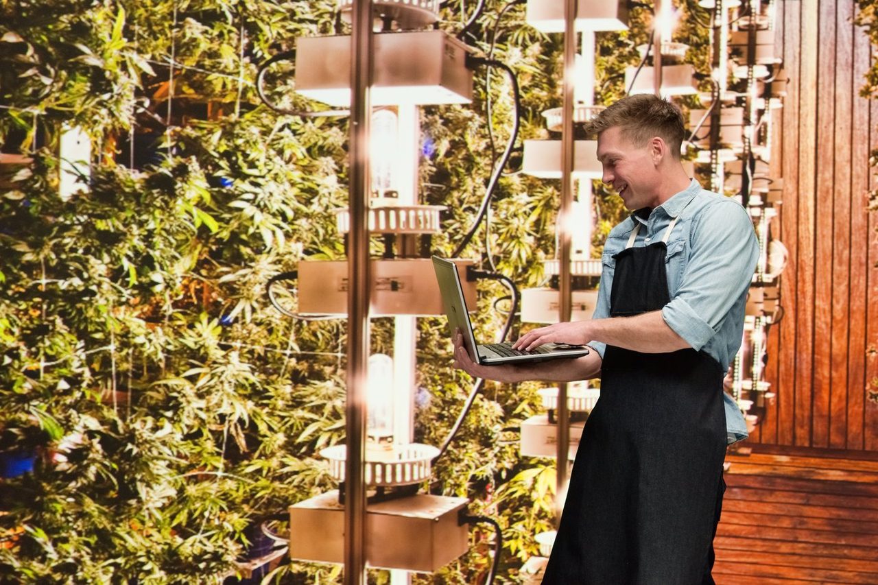 Why Rescheduling Might Not Move Canopy Growth's Stock as Much as You Think