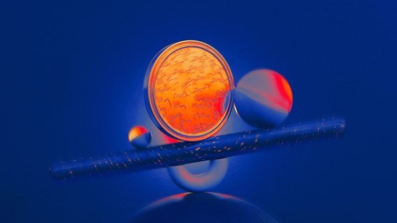STORJ token falls 20% as decentralized storage firm files for Chapter 11 bankruptcy amid crypto shutdown wave