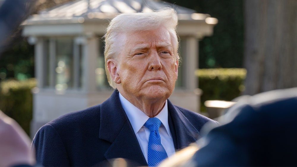 Dow Jones Futures: Trump Comments Spark Stock Market Losses; Elon Musk-Led SpaceX, Tesla Tumble