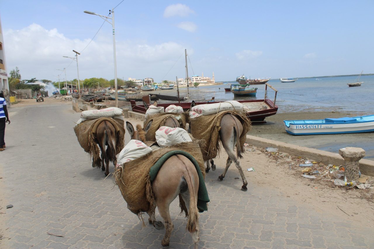 Kenya Says Dangote Has Offered It a Tenth of the Lamu Refinery