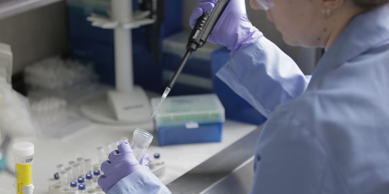Merck Stock Rises as Wall Street Looks Past Earnings Guidance Cut to Oncology Strength