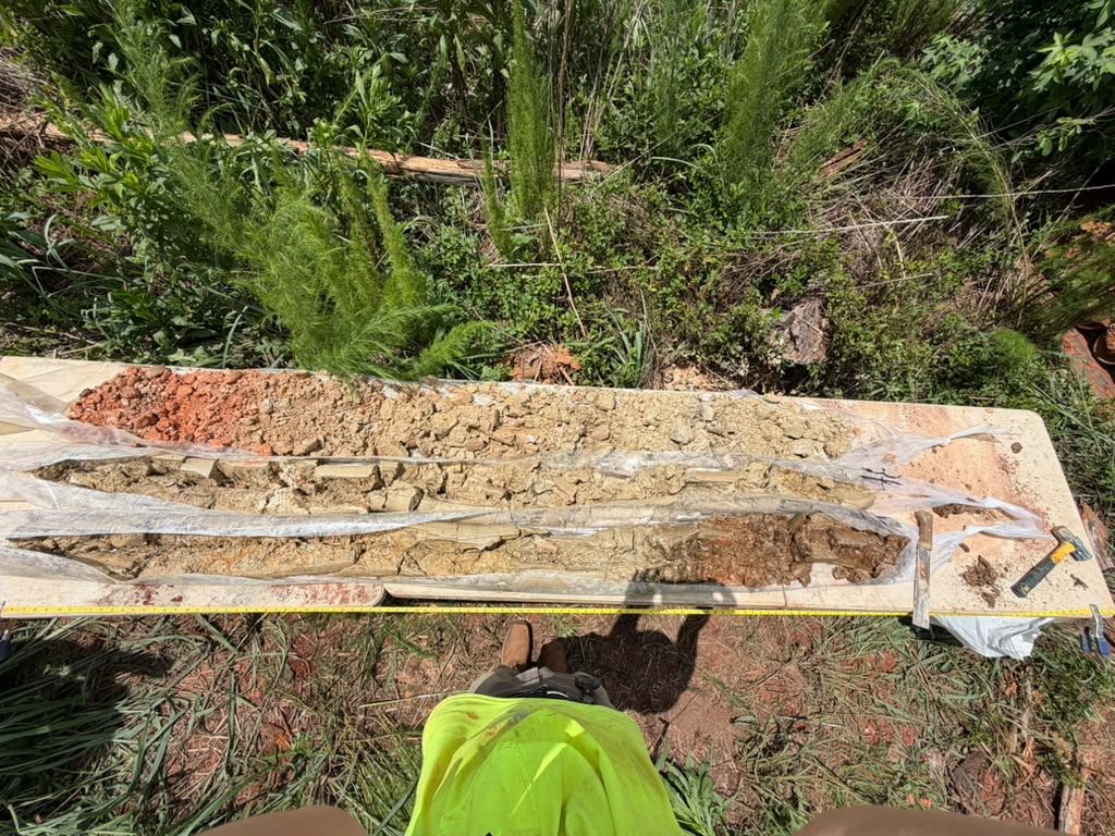 Rare Earths Americas expands footprint at Shiloh project in Georgia