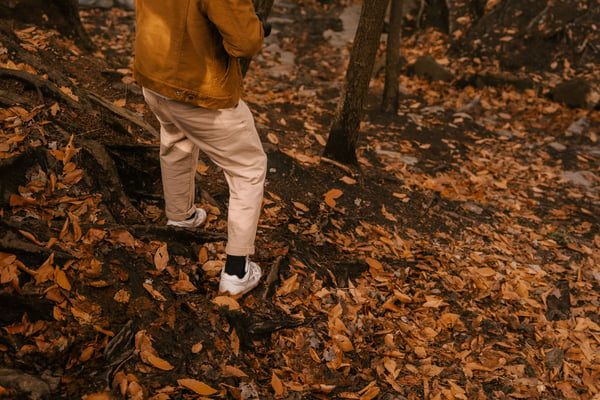 7 things happening to your body that explain the early-fall energy crash