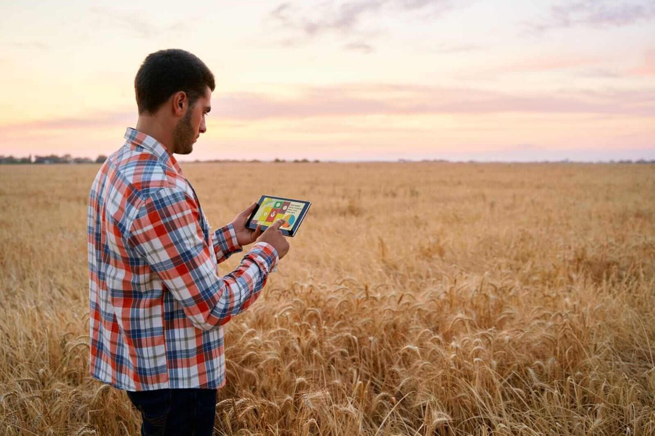 Wheat Rally Holding at Midday Amid More Black Sea Strikes