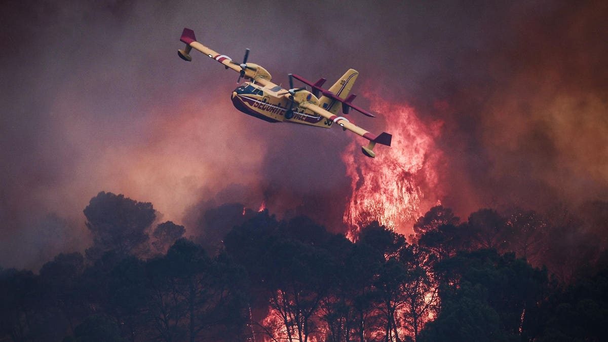 This Year's European Wildfires Are Three Times Worse Than Average