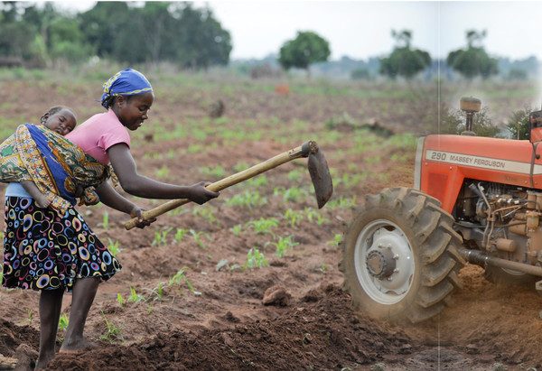 NADF launches mechanisation training program to boost Nigeria’s food security drive