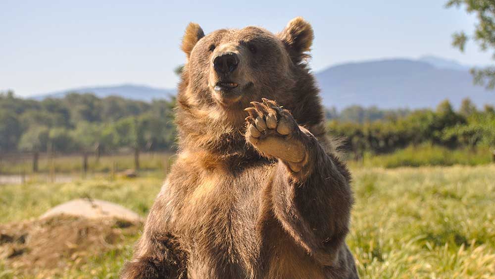 Dow Jones Futures Rise After Bearish Market Signal; Bitcoin Keeps Surging