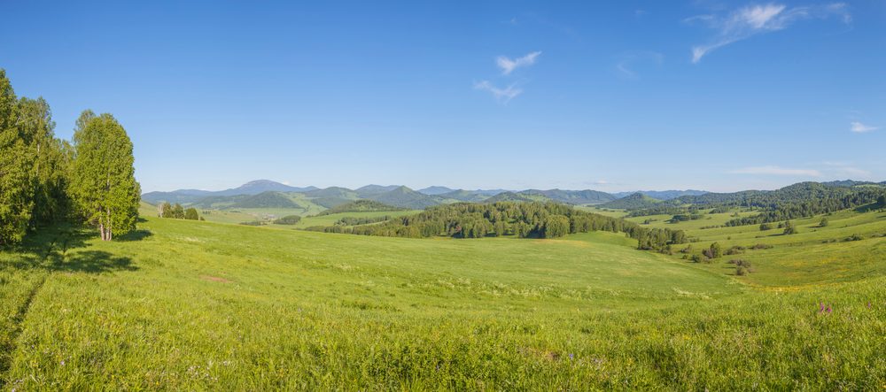 Beyond the Spot Price: The Changing Landscape of Commodity ETFs