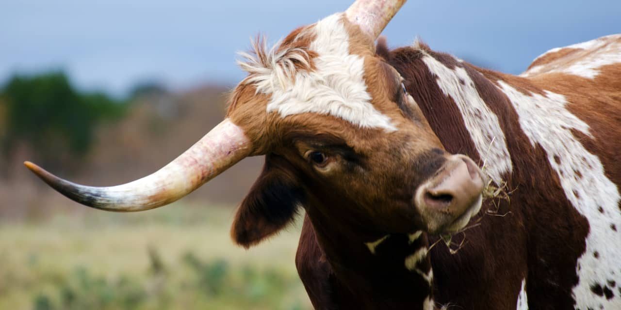 Retail Investors Just Got a Lot More Bullish on the Market, Schwab Says