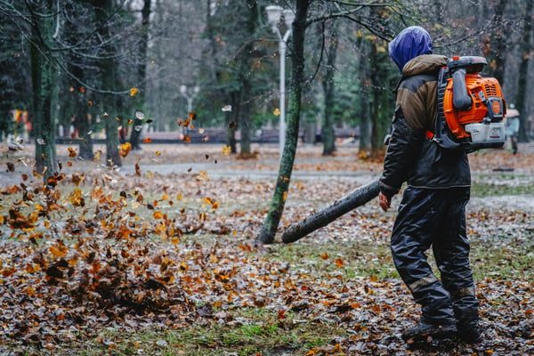 The best leaf blowers ranked by type, according to Consumer Reports