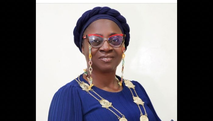 Nigeria insurance chief Ilori steps down after one-million youth drive
