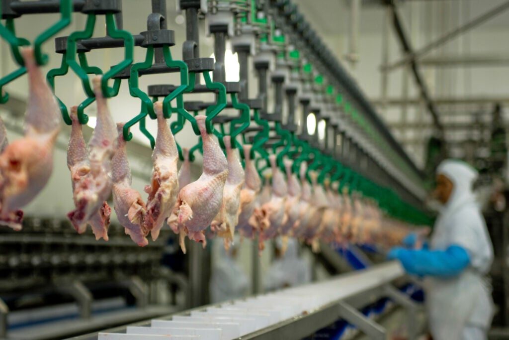 JBS’s Pilgrim’s Pride Sees Profit Slump on Chicken Glut