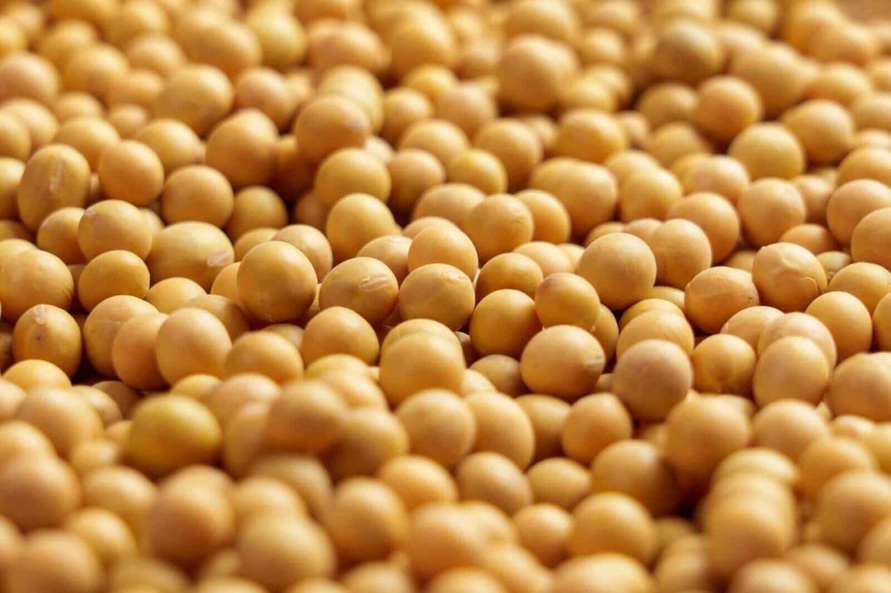 Soybeans Close with Gains on Monday, as Ratings Slip