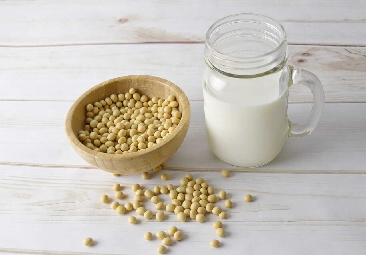Soybeans Rallying to Start the Week, with Bean Oil Leading the Charge