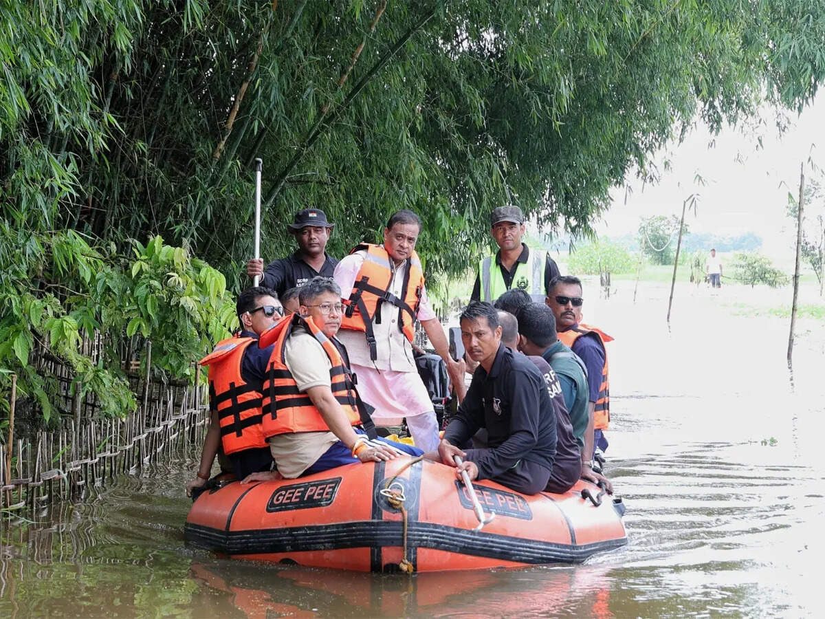 IRDAI asks insurers to fast-track Assam flood claims