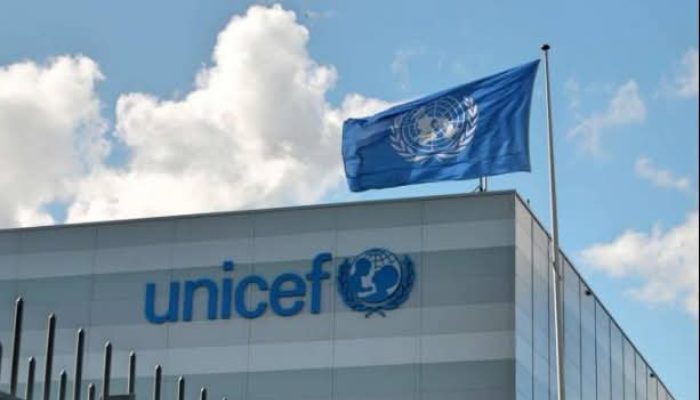 UNICEF backs Kaduna’s six-month maternity leave as economic boost for child nutrition, workforce productivity
