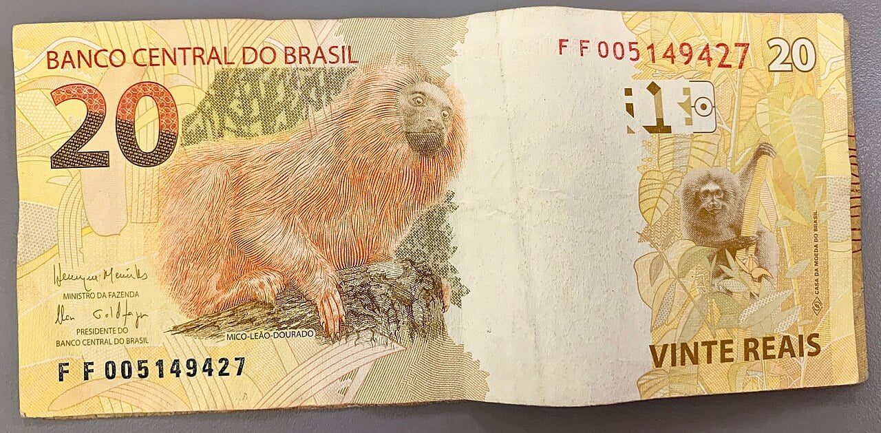 IMF Urges Brazil to Cap Household Debt Payments at 40% of Income