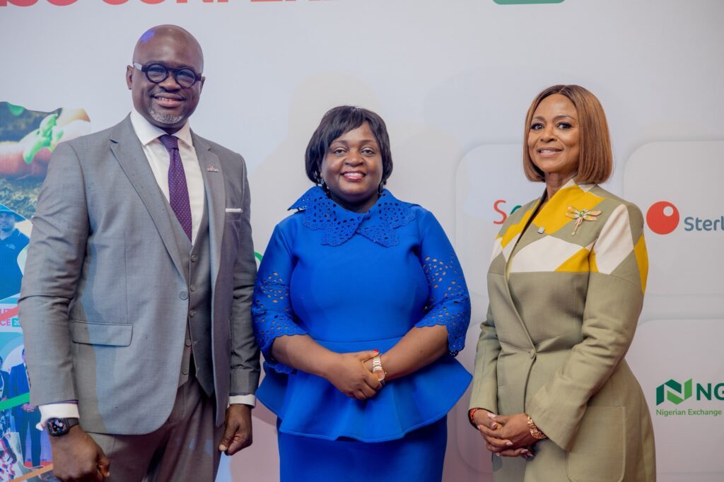 Nigeria taps banks, local capital to close $171bn climate finance gap