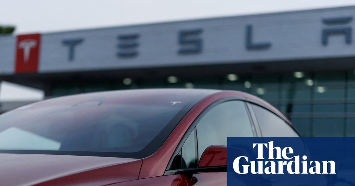 Tesla recalls nearly 3m vehicles in China over door handle safety risks