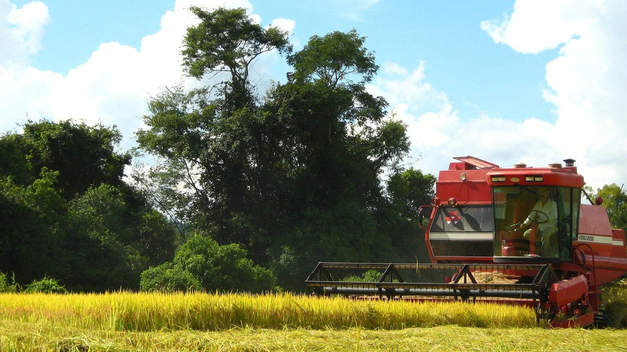 Rice Giant Camil Sinks 18% After Its Profit Falls by More Than Half