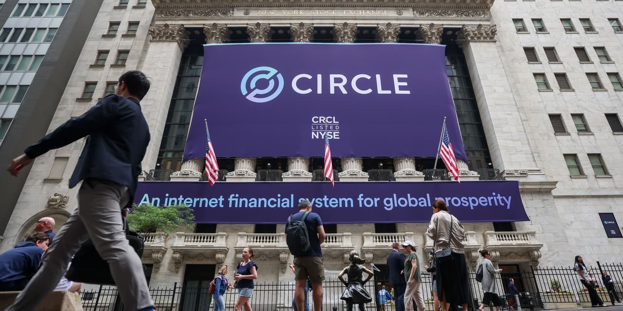 Circle Internet Stock Angles Higher as Earnings Beat Overcomes the Crypto Slump