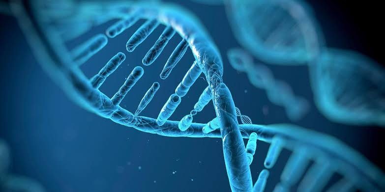European biotech mapped: 89 startups reshaping medicine