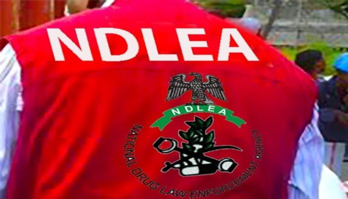 NDLEA blocks N9.8b bank account, declares drug kingpin, associates wanted